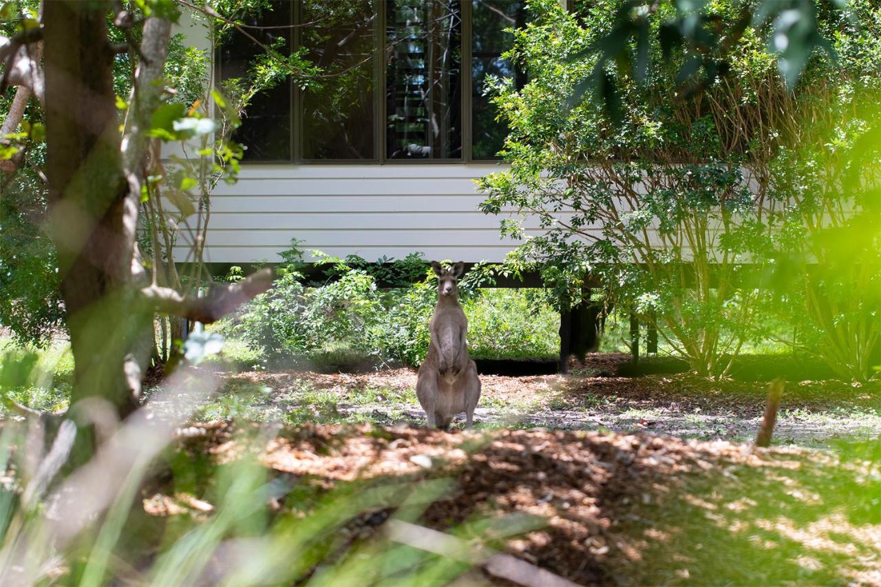 Eumarella Shores Noosa Lake Retreat Нусавил Екстериор снимка