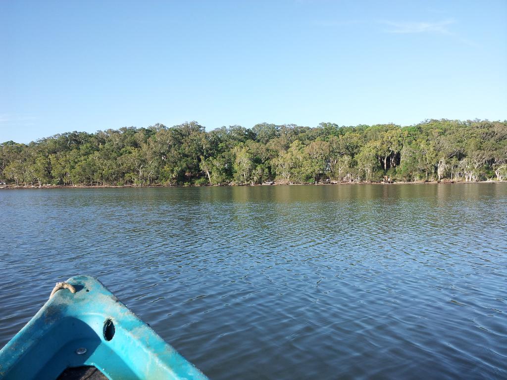 Eumarella Shores Noosa Lake Retreat Нусавил Екстериор снимка