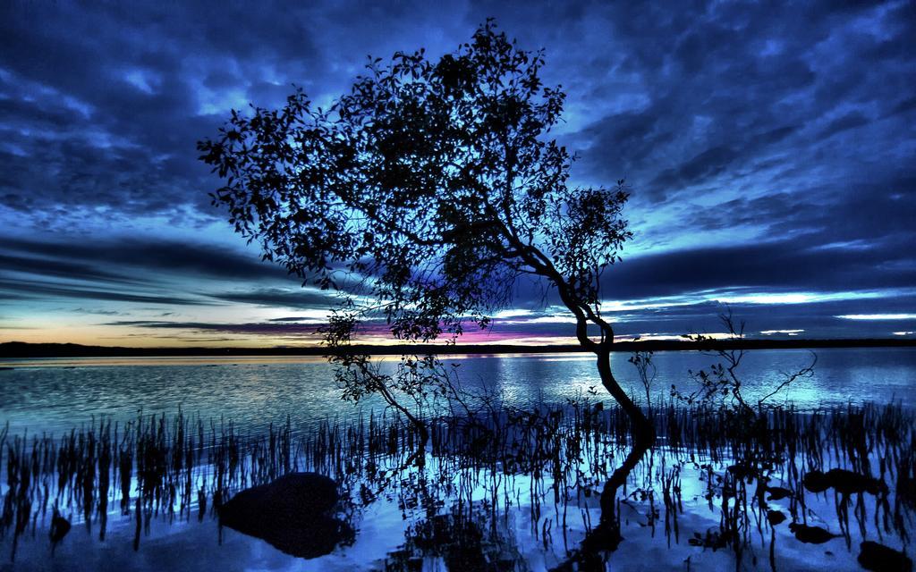Eumarella Shores Noosa Lake Retreat Нусавил Екстериор снимка